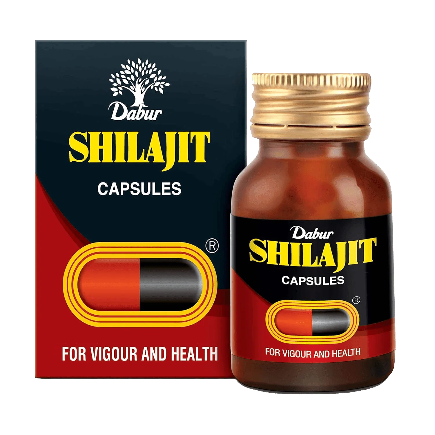 Dabur Shilajit Capsules - Image 2